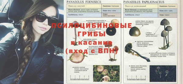 ешки Алексин