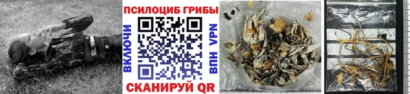 Галлюциногенные грибы мицелий  купить наркоту  Спасск-Рязанский 